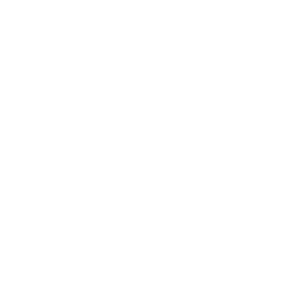 519 Ventures Logo